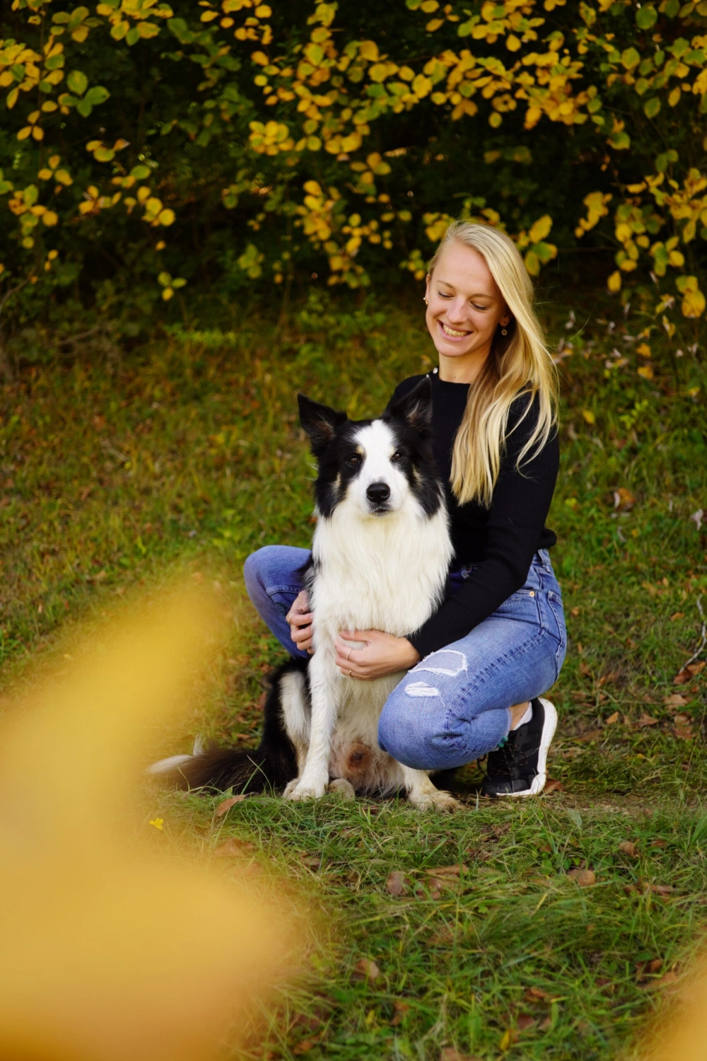 Hundeschule Ehrenfeld, Hundeschule Neuehrenfeld, Hundeschule Ossendorf, Hundeschule Bickendorf, Hundeschule Köln, Hundetraining Köln, Hundetraining Ehrenfeld, Hundetraining Neuehrenfeld, Hundetraining Ossendorf, Hundetraining Bickendorf, Hundeschule rund um Köln, Junghundkurs, Social Walks, Einzeltraining, Wanderungen mit Hund, Welpenkurse, Hundegruppe, Alltagstraining, Gassigehservice, Gassigeh-Service, Verhaltenstherapie, Verhaltensberatung, Dogwalker, Hundebetreuung , Mobile Hundeschule, Hundeschule Bonn, Hundetraining Bonn, Hundeschule Bad Godesberg, Hundetraining Bad Godesberg, Hundeschule Königswinter, Hundetraining Königswinter