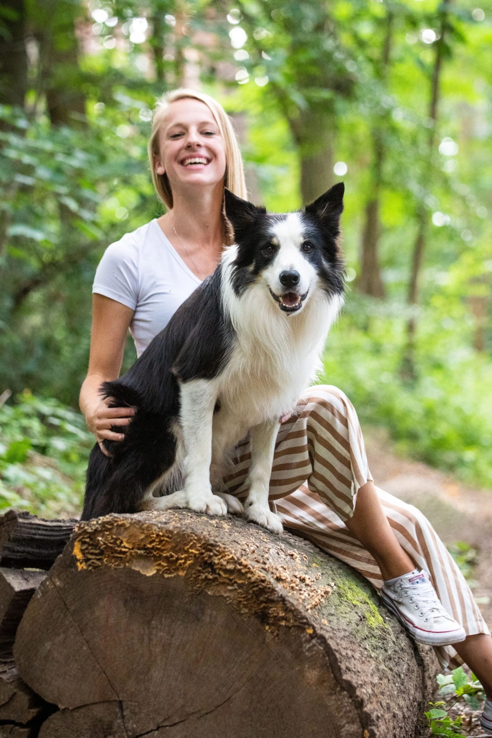 Hundeschule Ehrenfeld, Hundeschule Neuehrenfeld, Hundeschule Ossendorf, Hundeschule Bickendorf, Hundeschule Köln, Hundetraining Köln, Hundetraining Ehrenfeld, Hundetraining Neuehrenfeld, Hundetraining Ossendorf, Hundetraining Bickendorf, Hundeschule rund um Köln, Junghundkurs, Social Walks, Einzeltraining, Wanderungen mit Hund, Welpenkurse, Hundegruppe, Alltagstraining, Gassigehservice, Gassigeh-Service, Verhaltenstherapie, Verhaltensberatung, Dogwalker, Hundebetreuung , Mobile Hundeschule, Hundeschule Bonn, Hundetraining Bonn, Hundeschule Bad Godesberg, Hundetraining Bad Godesberg, Hundeschule Königswinter, Hundetraining Königswinter