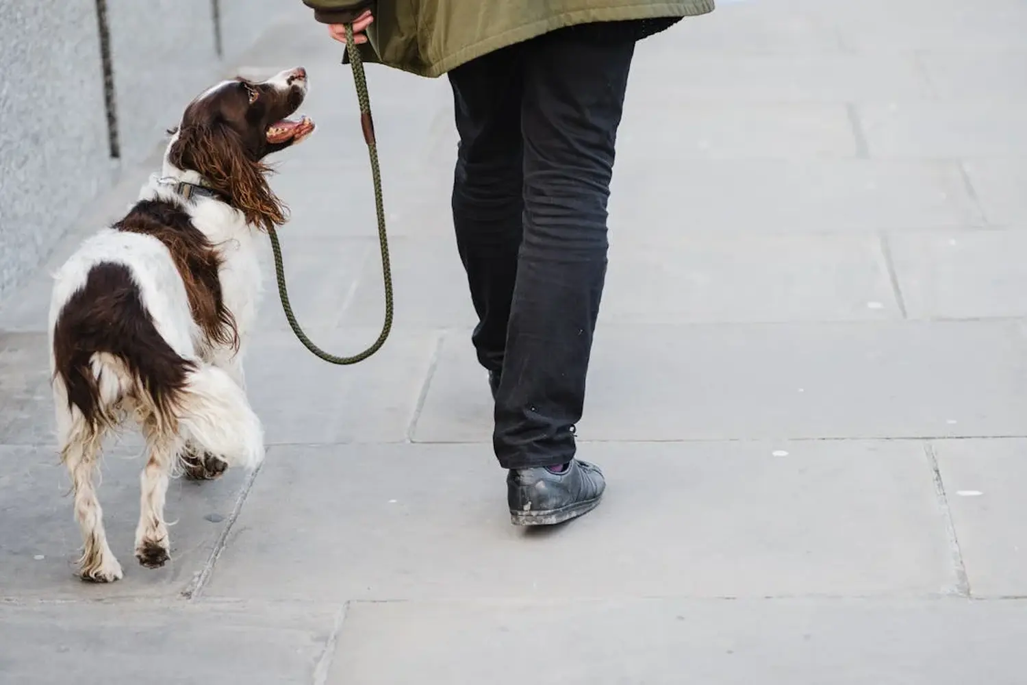 Hundeschule Ehrenfeld, Hundeschule Neuehrenfeld, Hundeschule Ossendorf, Hundeschule Bickendorf, Hundeschule Köln, Hundetraining Köln, Hundetraining Ehrenfeld, Hundetraining Neuehrenfeld, Hundetraining Ossendorf, Hundetraining Bickendorf, Hundeschule rund um Köln, Junghundkurs, Social Walks, Einzeltraining, Wanderungen mit Hund, Welpenkurse, Hundegruppe, Alltagstraining, Gassigehservice, Gassigeh-Service, Verhaltenstherapie, Verhaltensberatung, Dogwalker, Hundebetreuung , Mobile Hundeschule, Hundeschule Bonn, Hundetraining Bonn, Hundeschule Bad Godesberg, Hundetraining Bad Godesberg, Hundeschule Königswinter, Hundetraining Königswinter,Hundespaziergang Anja Baum