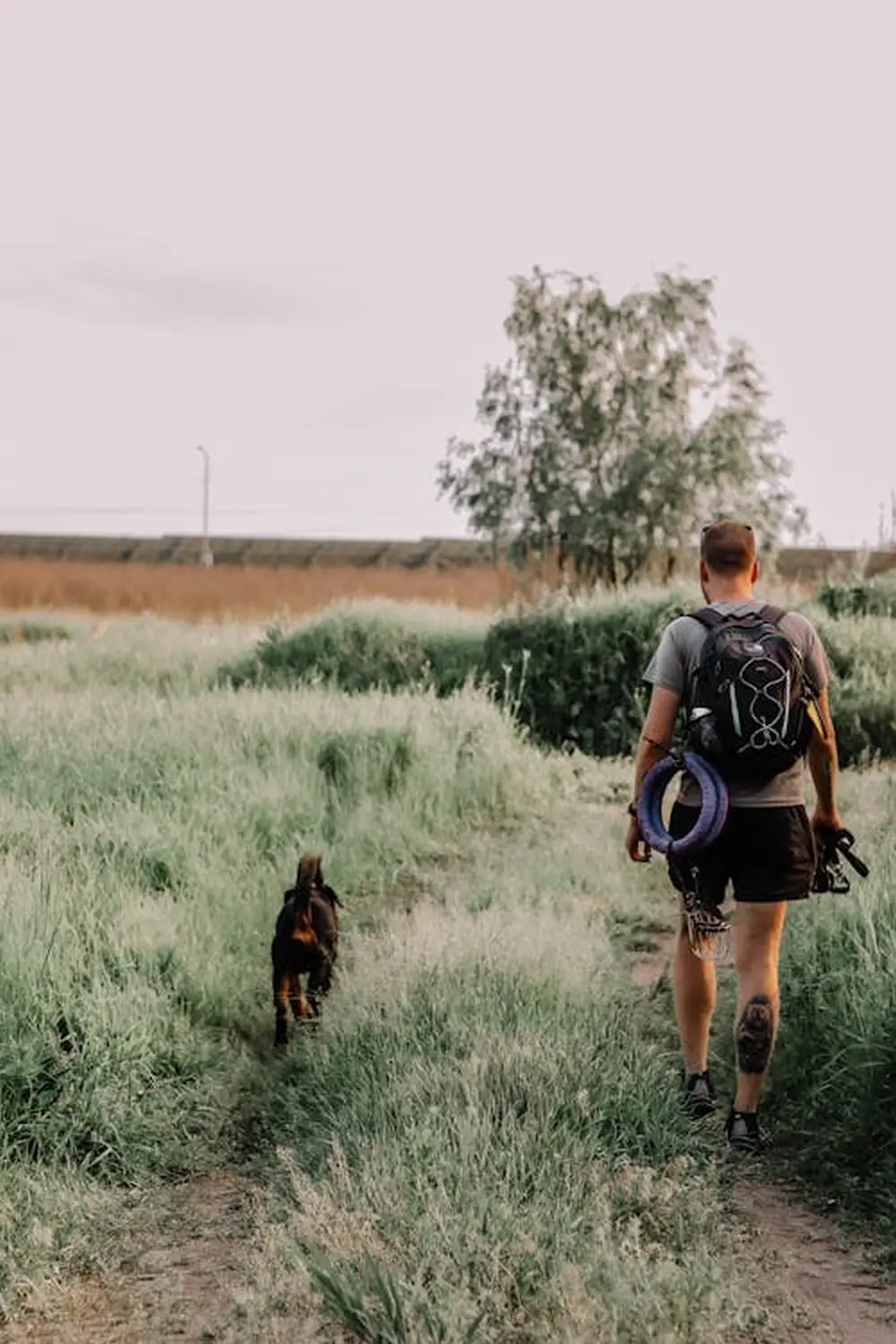 Hundeschule Ehrenfeld, Hundeschule Neuehrenfeld, Hundeschule Ossendorf, Hundeschule Bickendorf, Hundeschule Köln, Hundetraining Köln, Hundetraining Ehrenfeld, Hundetraining Neuehrenfeld, Hundetraining Ossendorf, Hundetraining Bickendorf, Hundeschule rund um Köln, Junghundkurs, Social Walks, Einzeltraining, Wanderungen mit Hund, Welpenkurse, Hundegruppe, Alltagstraining, Gassigehservice, Gassigeh-Service, Verhaltenstherapie, Verhaltensberatung, Dogwalker, Hundebetreuung , Mobile Hundeschule, Hundeschule Bonn, Hundetraining Bonn, Hundeschule Bad Godesberg, Hundetraining Bad Godesberg, Hundeschule Königswinter, Hundetraining Königswinter, Hundespaziergang Anja Baum