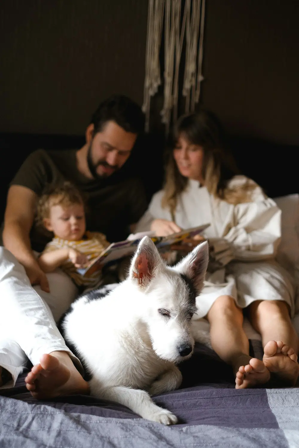 Hundeschule Ehrenfeld, Hundeschule Neuehrenfeld, Hundeschule Ossendorf, Hundeschule Bickendorf, Hundeschule Köln, Hundetraining Köln, Hundetraining Ehrenfeld, Hundetraining Neuehrenfeld, Hundetraining Ossendorf, Hundetraining Bickendorf, Hundeschule rund um Köln, Junghundkurs, Social Walks, Einzeltraining, Wanderungen mit Hund, Welpenkurse, Hundegruppe, Alltagstraining, Gassigehservice, Gassigeh-Service, Verhaltenstherapie, Verhaltensberatung, Dogwalker, Hundebetreuung , Mobile Hundeschule, Hundeschule Bonn, Hundetraining Bonn, Hundeschule Bad Godesberg, Hundetraining Bad Godesberg, Hundeschule Königswinter, Hundetraining Königswinter